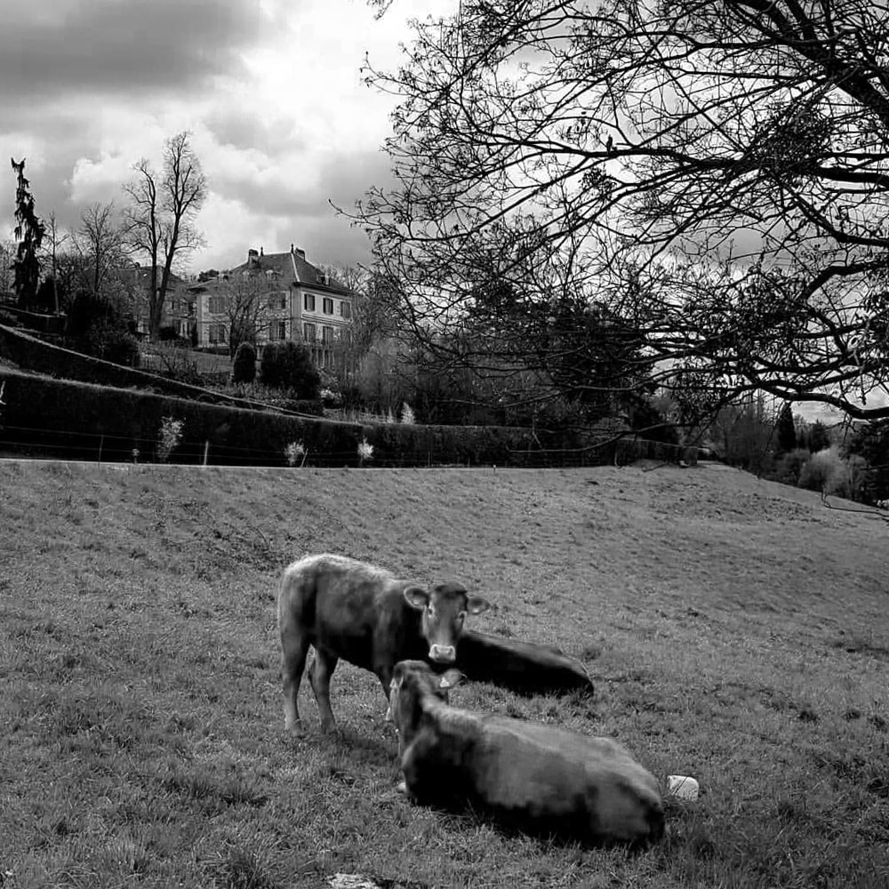 Villa Diodati, Geneva
